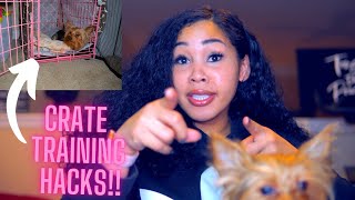 HOW TO CRATE TRAIN  - Yorkie Training