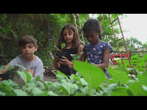 Stoddert Elementary School Garden | ECO9