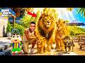 Franklin & Shinchan Rescue A Rare Lion Family and Reunite Him with His Parents! In GTA 5! 🦁🔥