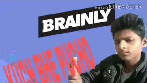 What is brainly and how to use app