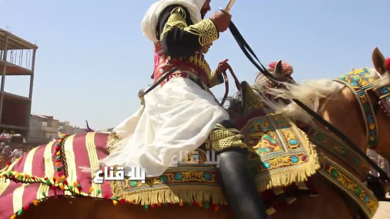 bila kinaa | فرسان تونس في عروض فرجوية بالطبلة والزكار..أجواء شعبية خاارقة للعادة كما لم ترها من قبل