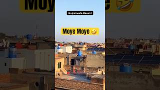 Police Raid On Basant Stan Kite Flyers Kite Flying Challenge