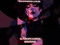 #youtubeshorts QUE DIOS BENDIGA LA MUJER EL PRÍNCIPE ALBERTH HERNÁNDEZ #yelmismoswing #viralvideo #1