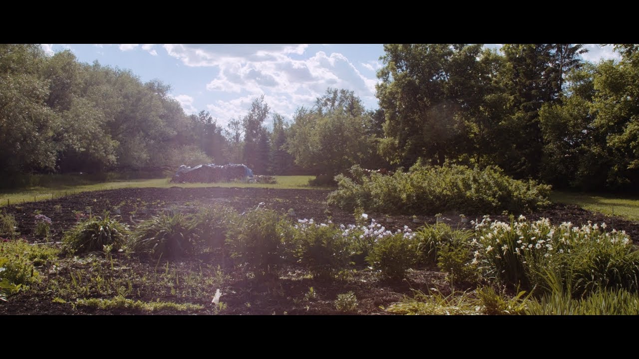 Hot Docs 2019 Trailers: FROM THE DIRT film festival sydney