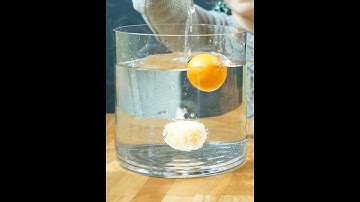 Float & Sink_DIY STEMATHOME Science Experiment (Egg & Orange)