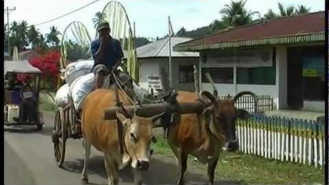 MGEI-IAGI_2012 - #4 of 4: Social, Economic and HSE