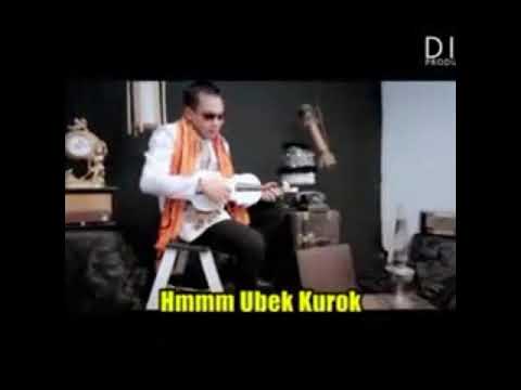 ubek kurok