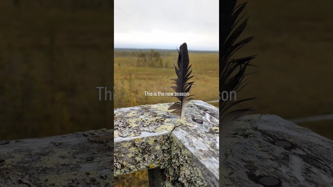 Time to turn the page🍂🍁🍄🧡💛 