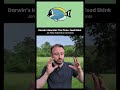 Genetic Information and Evolution Quiz