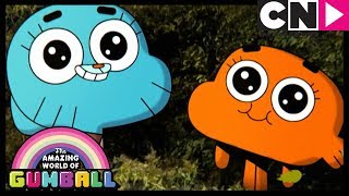 Gumball | Pals Before Gals - Happy Friendship Day! | Cartoon Network