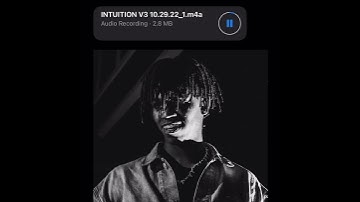 DC The Don - Intuition (New Snippet)