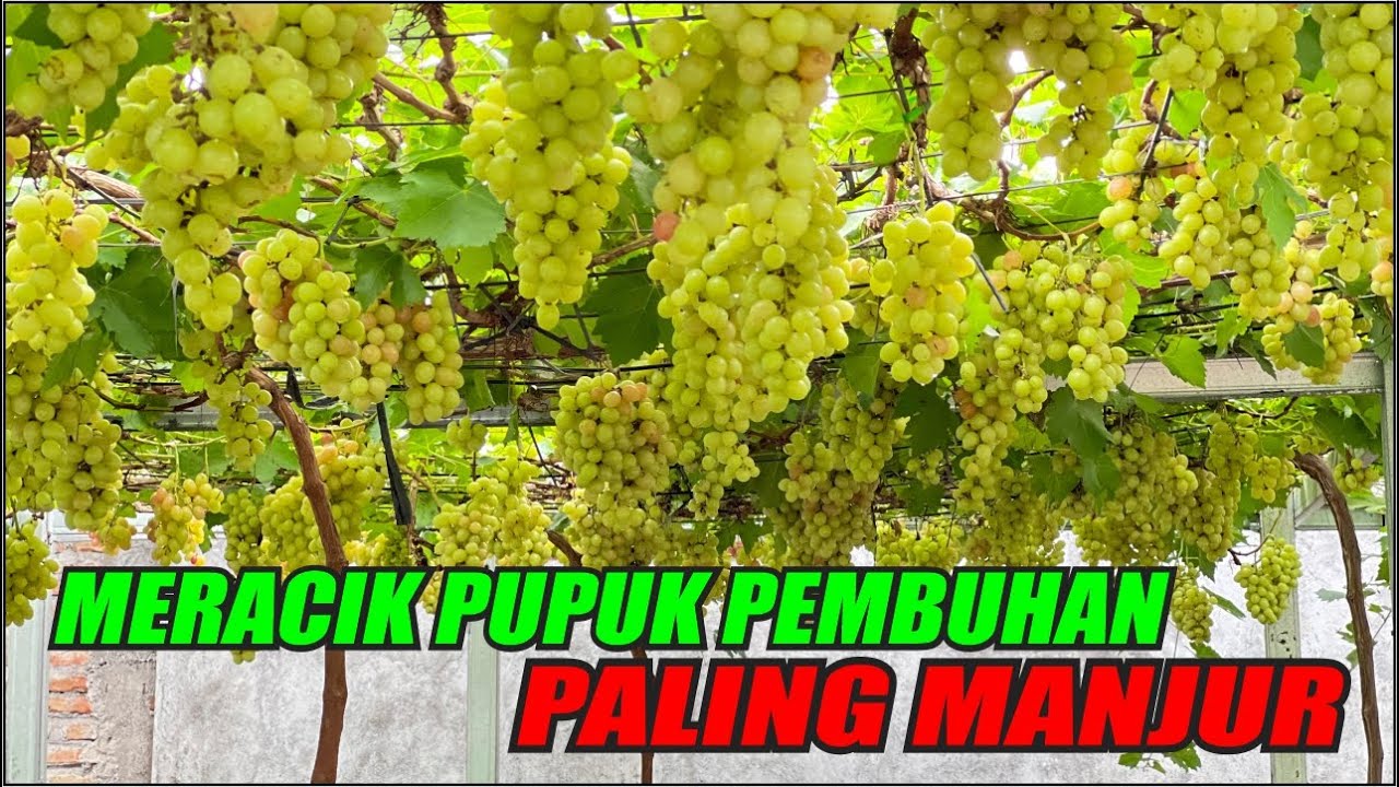 СМЕШИВАНИЕ НАИБОЛЕЕ ЭФФЕКТИВНЫХ УДОБРЕНИЙ