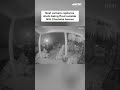 Google Nest camera captures shots fired outside Charlotte home
