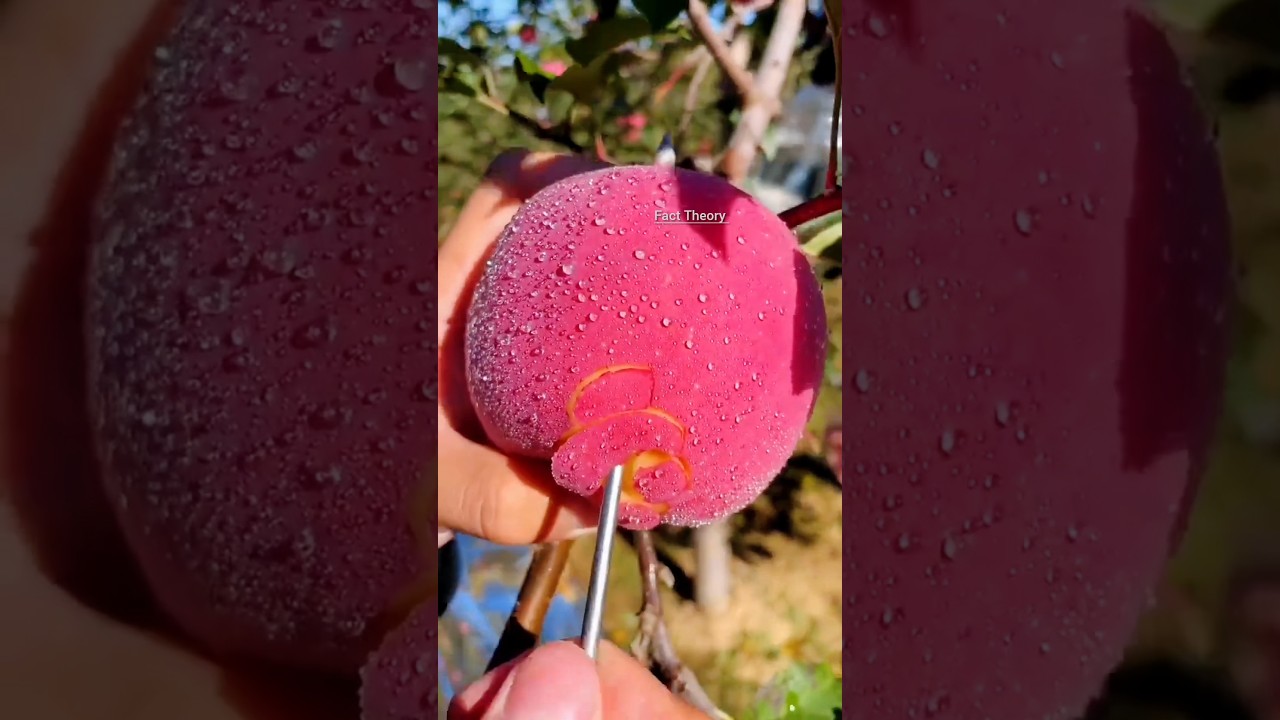 7 Amazing Fruit Facts That Boost Your Health | Healthy Food Facts