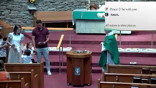 When Peace Divides: The Cost of Discipleship