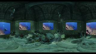 Fiji 360°   Virtual Rehab