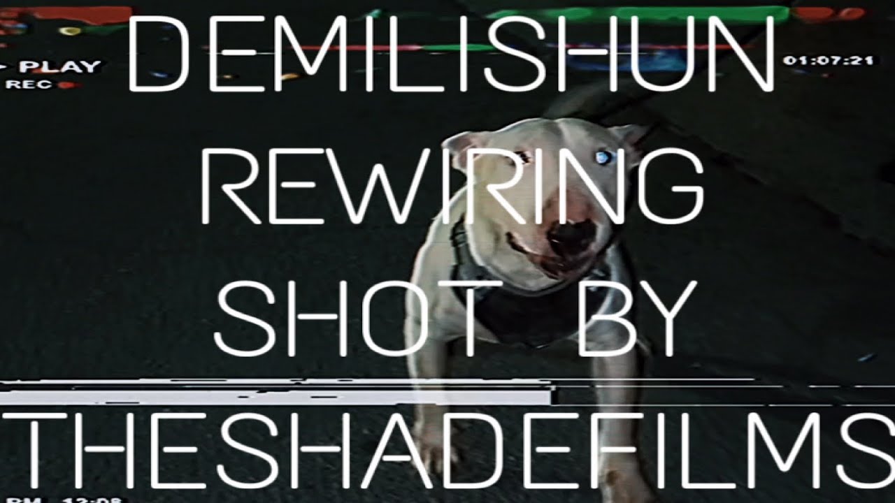 DemiLiShun - Rewiring [Shot by. TheShadeFilms] (Official Music Video) 