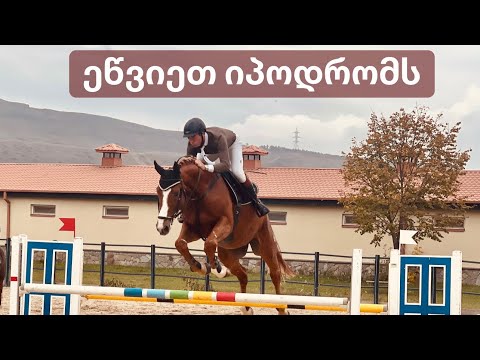 ეწვიეთ იპოდრომს