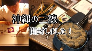 【沖縄の三線開封してみた！】スタンダード人工皮20点セット