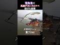 怪魚池で馬鹿デカいスピナベ投げたら…