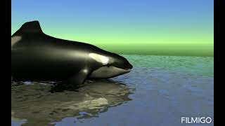 Just A Low Quality Video Doing Low Quality Things