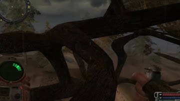 Stalker call of Pripyat Oakpine Anomaly how to