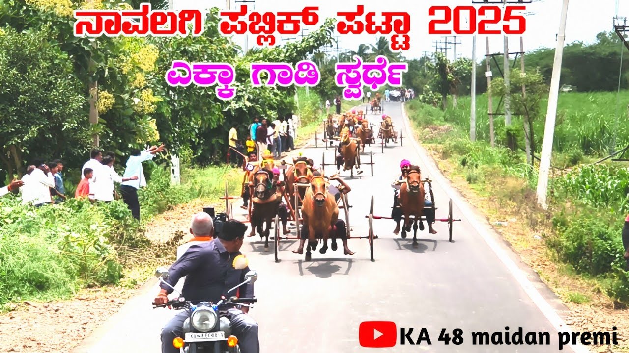 ನಾವಲಗಿ ಎಕ್ಕಾ ಗಾಡಿ ಪಬ್ಲಿಕ್ ಪಟ್ಟಾ 2025 navalagi res #navalagi #ghoda #ghodasharyat #horse