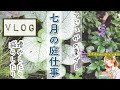 【ガーデニングVLOG】ガーデニング初心者がアジュガを葉っぱで増やす｜小さな庭の７月の庭仕事｜ヒューケラは失敗｜3COINSの蚊取り線香入れ（#131）