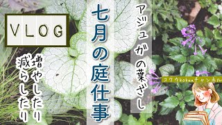 【ガーデニングVLOG】ガーデニング初心者がアジュガを葉っぱで増やす｜小さな庭の７月の庭仕事｜ヒューケラは失敗｜3COINSの蚊取り線香入れ（#131）