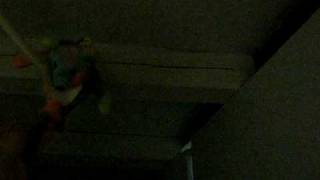 Suicide Bear kills himself