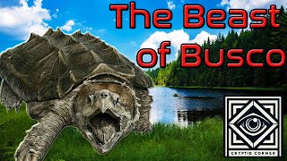 The Beast Of Busco Indianas Legendary Giant Turtle