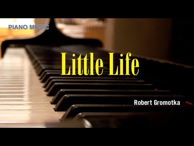 LITTLE LIFE - Robert Gromotka