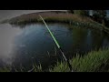 Carp for spinning , Karp na spinning..