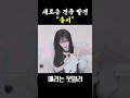 비숑인 줄 알았는데 아니래요...