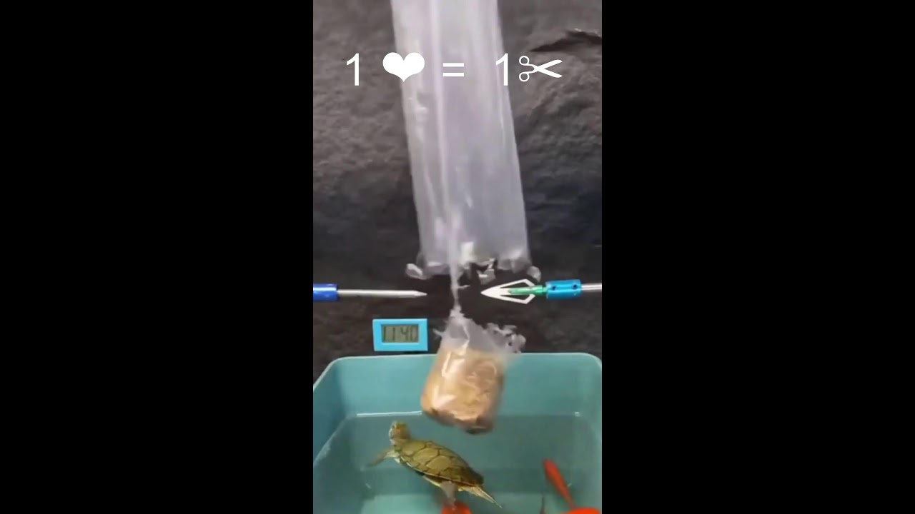 Прямая трансляция пользователя Rescrutor