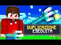 HO USATO un BUG per DUPLICARE FINCHÉ non MI HANNO BANNATO dal SERVER...