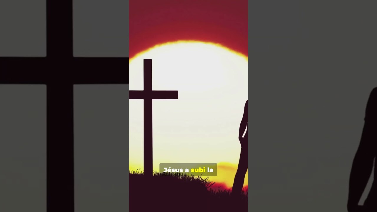 ENSEIGNEMENT BIBLIQUE — Romains 