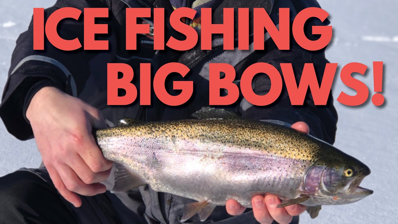 How to catch BIG RAINBOW TROUT Ice Fishing in the Northwest 