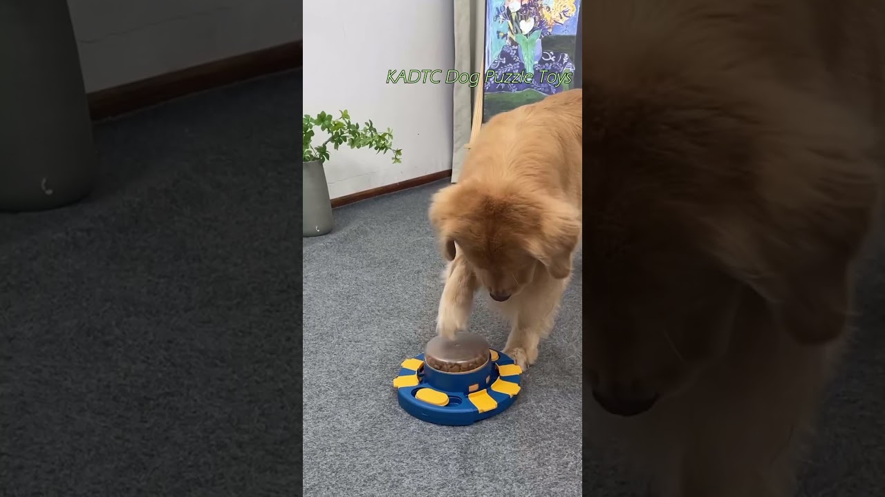 KADTC Puzzle toys! Best dog Toy in USA! W11163