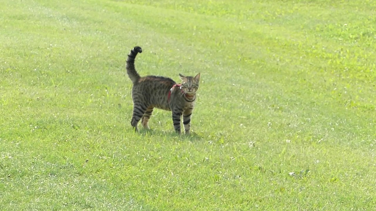 running room Happy 30th Birthday G!🎁🎂🍦✨☕️✨