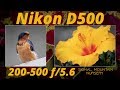 Nikon D500 & 200-500 Flower and Barn Swallow Bird Photography