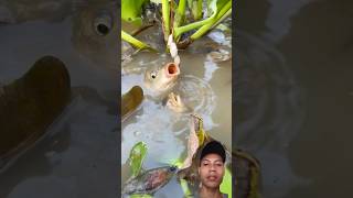 This Common Carp Is Really Hard To Catch