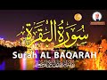 تحبير خاشع من سورة البقرة 253 286 بصوت الشيخ أحمد خليل شاهين برواية ابن وردان   