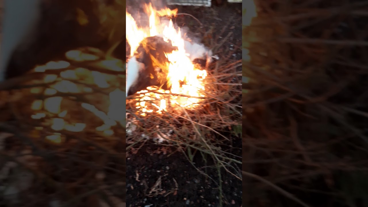burning 3 featherbed and 2 pillows 😋😋😋😋 part 5 YouTube