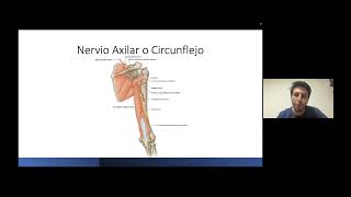 Anatomía miembro superior - SOTECES