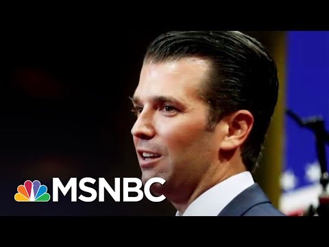 Collusion's No Big Deal? That's What Some House Republicans Say | The 11th Hour | MSNBC