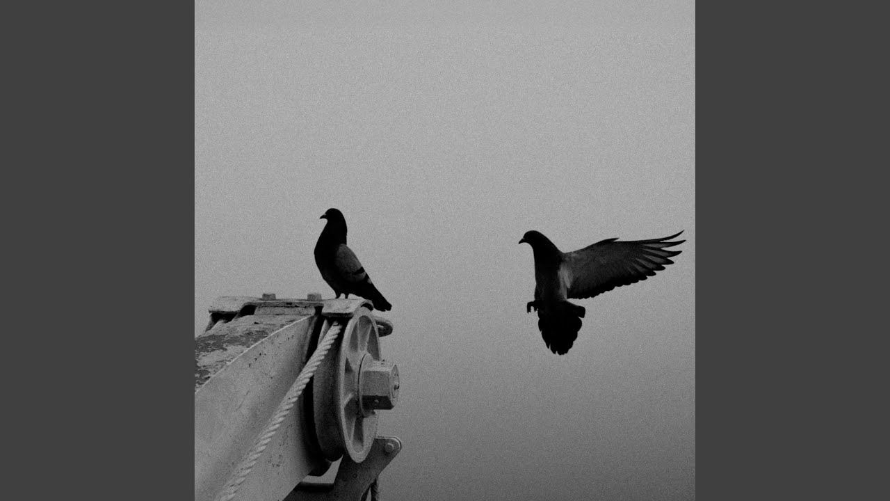 do no wrong (feat. Mick Jenkins)