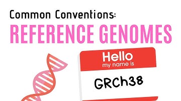 Reference Genomes | Common Conventions