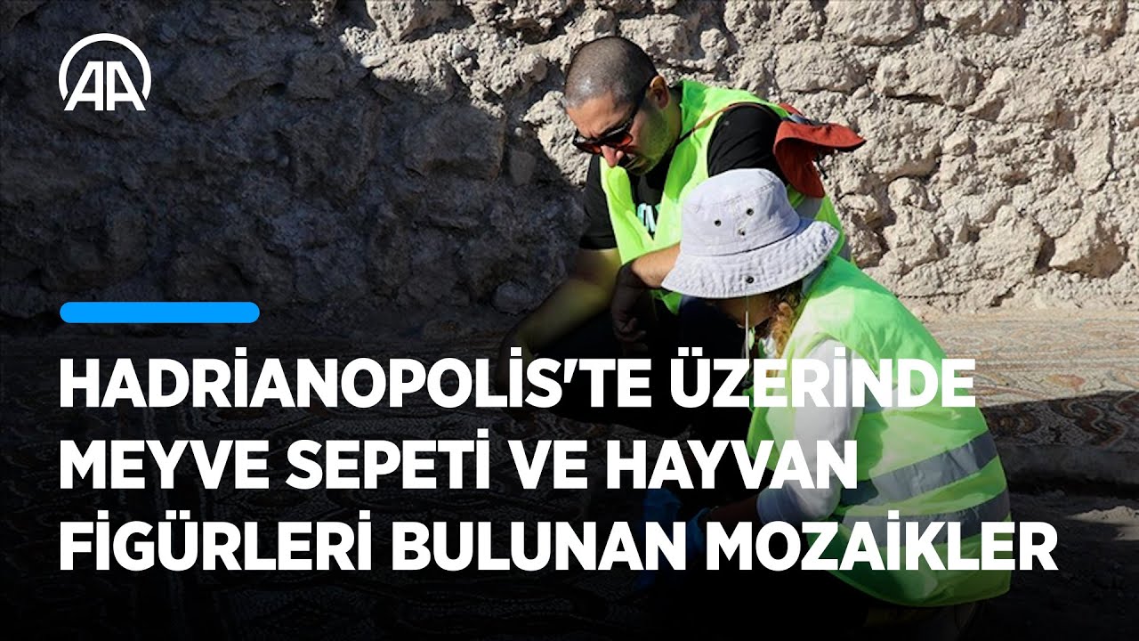 Hadrianopolis'te üzerinde meyve sepeti ve hayvan figürleri bulunan mozaikler ortaya çıkarıldı