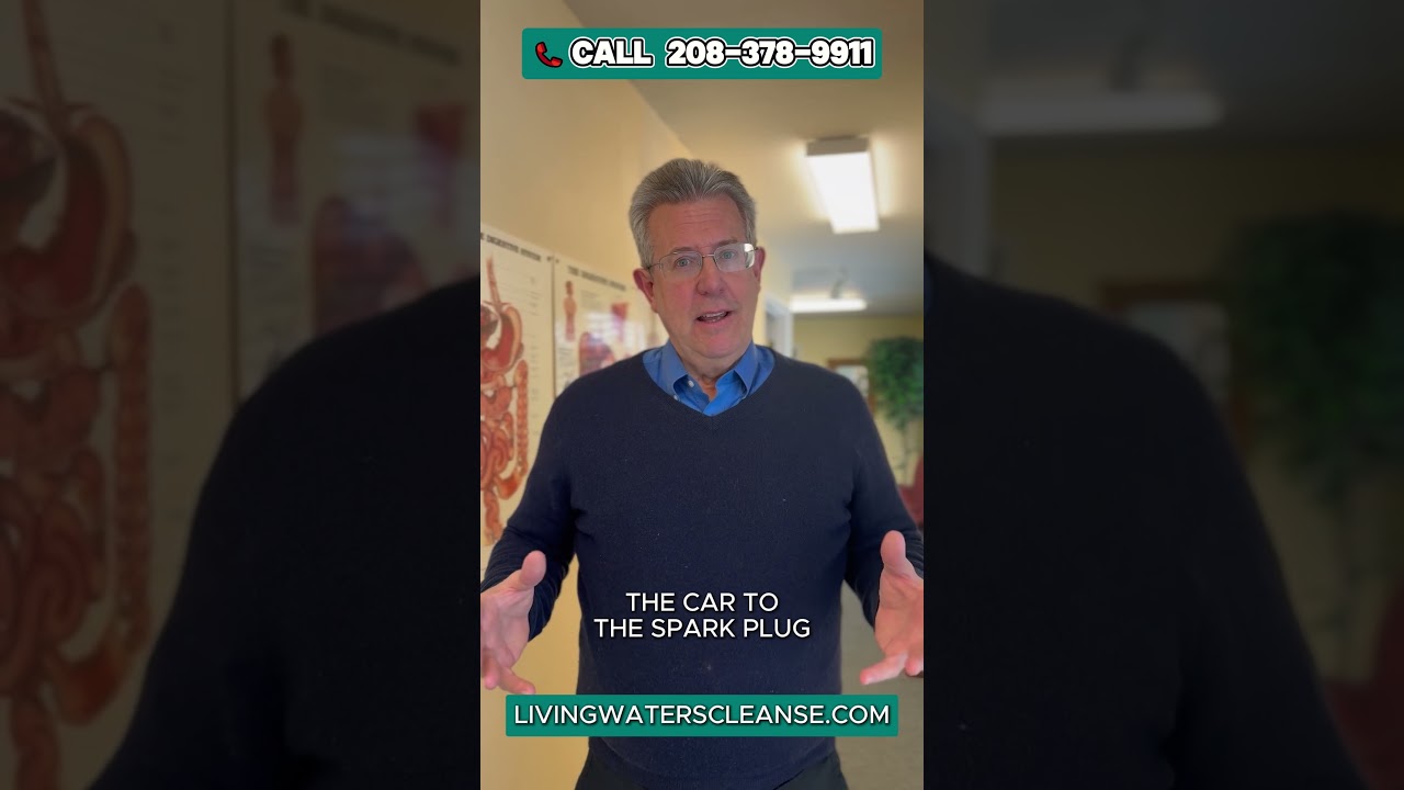 Gut Health & Iridology Explained: How Colon Hydrotherapy Supports Digestive Wellness | David DeHaas